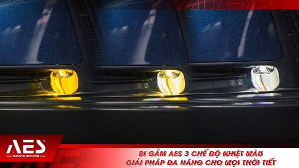 Bi gầm AES 3 chế độ nhiệt màu: Giải pháp đa năng cho mọi điều kiện thời tiết.